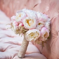 Aliana Events