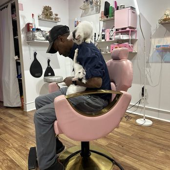 Alpha Dog Grooming Services - Pet Groomers Near Me - Philadelphia, Pennsylvania