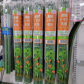 Daiso - Department Stores Near Me - Edgewater, New Jersey