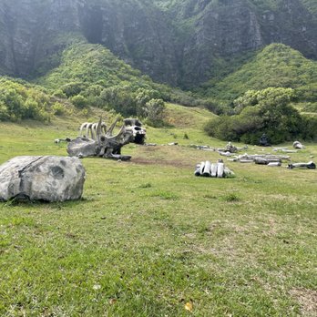 Kualoa Ranch - Tours Near Me - Kaneohe, Hawaii Kualoa Ranch - Tours Near Me - Kaneohe, Hawaii