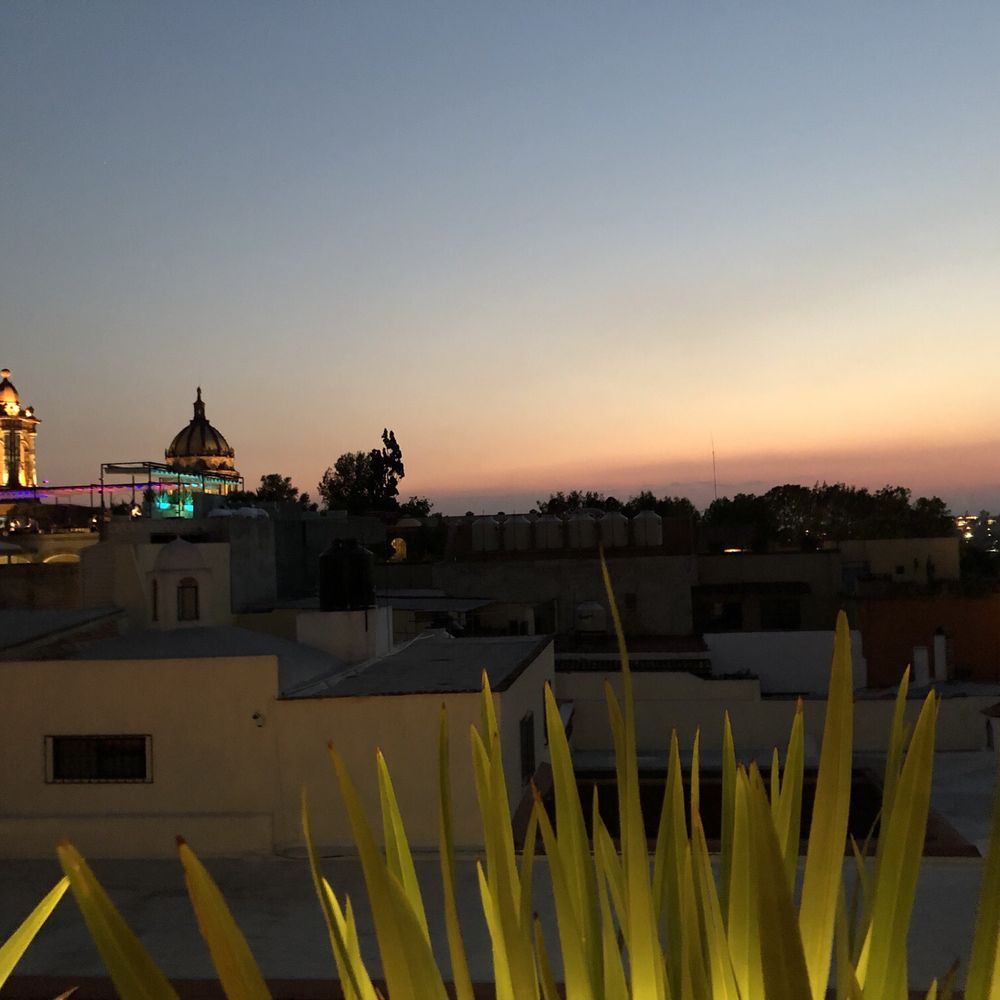 Ocre - Rooftop views and a bit of a sunset. - Mexican Near Me - San Miguel de Allende, GUA