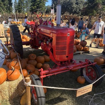 Goff Family Pumpkin Patch - Pumpkin Patches Near Me - San Diego, California Goff Family Pumpkin Patch - Pumpkin Patches Near Me - San Diego, California
