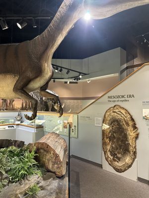 Memphis Museum of Science & History by null