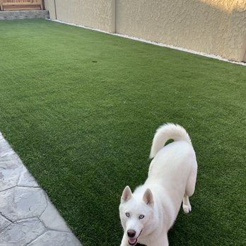 Turf Distributors - Artificial Turf Near Me - Livermore, California Turf Distributors - Artificial Turf Near Me - Livermore, California