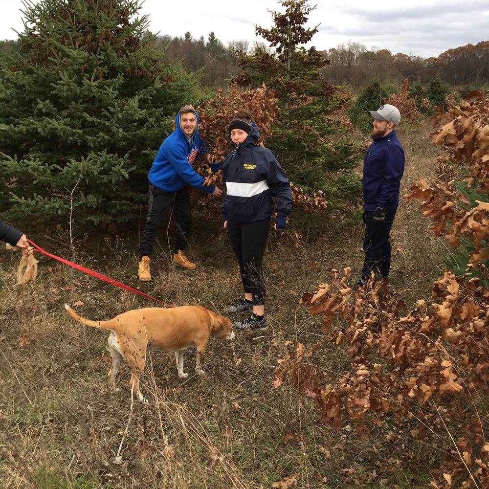Broadview Christmas Tree - On our quest for the perfect tree - Christmas Trees Near Me - Highland, Michigan