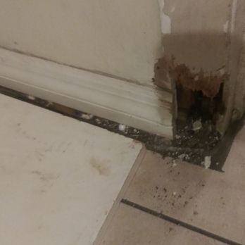 Specialized Property Management Orlando - Where rats come out in bathroom - Property Management Near Me - Altamonte Springs, Florida Specialized Property Management Orlando - Where rats come out in bathroom - Property Management Near Me - Altamonte Springs, Florida