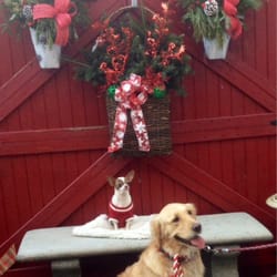 Araujo Farm & Greenhouses - Meg and little jagger on the bench posing for pics