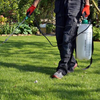 Spartan Pest Control - Spartan Pest Control - Pest Control Near Me - San Tan Valley, Arizona Spartan Pest Control - Spartan Pest Control - Pest Control Near Me - San Tan Valley, Arizona
