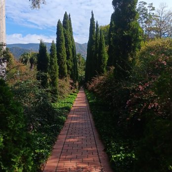 Lotusland - On the right path. - Botanical Gardens Near Me - Santa Barbara, California Lotusland - On the right path. - Botanical Gardens Near Me - Santa Barbara, California
