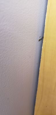 The Ponce St. Augustine Hotel by null