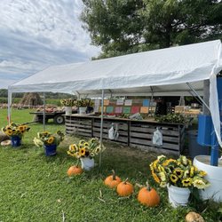 Blue Barn Acres