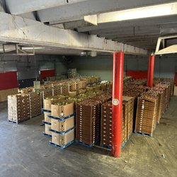 Borderlands Produce Rescue