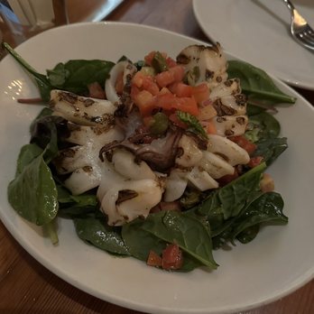 Terroni - Grilled calamari - Italian Near Me - Toronto, Ontario Terroni - Grilled calamari - Italian Near Me - Toronto, Ontario