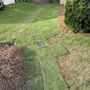 Photo of Dos Pablo's Landscaping