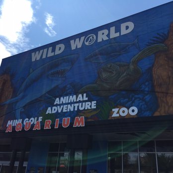 Branson Wild World - Aquariums Near Me - Branson, Missouri Branson Wild World - Aquariums Near Me - Branson, Missouri
