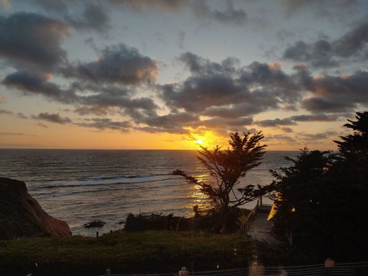 Moss Beach Distillery by null