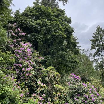 Washington Park Arboretum - Parks Near Me - Seattle, Washington Washington Park Arboretum - Parks Near Me - Seattle, Washington