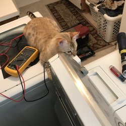 Wyatt’s Appliance Repair - Training in progress