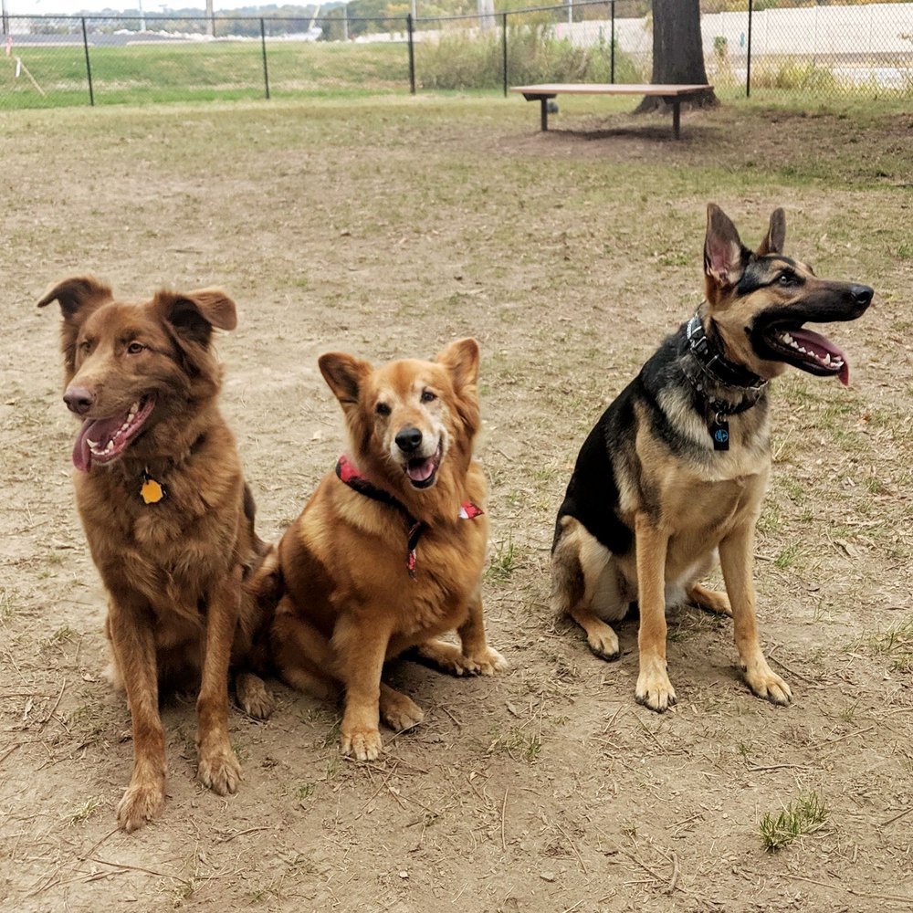 ST. JOHN’S COMMUNITY DOG PARK Updated June 2024 11333 St John
