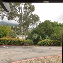 Central Coast Eye - View from waiting room.