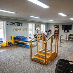 Concept Therapy