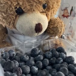 New Pain Solutions: James Robles, MD, FIPP - Baby bear