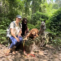 Blue Ridge Barks - Hikes with Honey and the pack