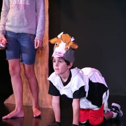 Summer Drama Camp - Into the Woods Jr  2015