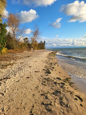 Friends of Negwegon State Park by null