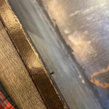 Byrd's Hot Chicken - Nails sticking out on the benches. Dragged the back of my leggings across one. Good thing I wasn't in shorts. - Chicken Shop Near Me - Algonquin, Illinois Byrd's Hot Chicken - Nails sticking out on the benches. Dragged the back of my leggings across one. Good thing I wasn't in shorts. - Chicken Shop Near Me - Algonquin, Illinois