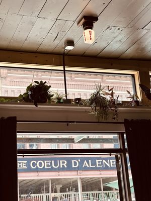 The Tin Snug by null