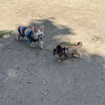 Euphuria Pet Salon - Bowie and Riley - Pet Stores Near Me - North Hollywood, California