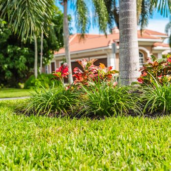 Perfect Cut Landscaping - Landscaping Near Me - Boynton Beach, Florida Perfect Cut Landscaping - Landscaping Near Me - Boynton Beach, Florida