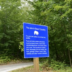 Killbear Provincial Park - We can't stop here! This is Bear Country!