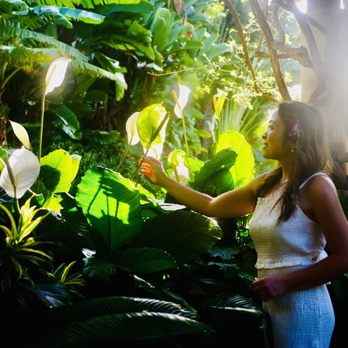 Charina Photo Hawaii - Session Photography Near Me Charina Photo Hawaii - Session Photography Near Me