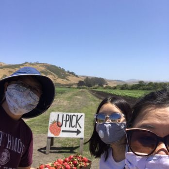Blue House Farm - Our loot after 20 mins - Farmers Market Near Me - San Gregorio, California