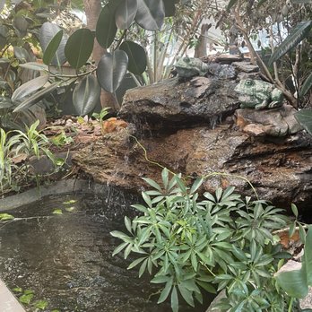 Terra Terroir - Water feature on patio - New American Near Me - Brookhaven, Georgia