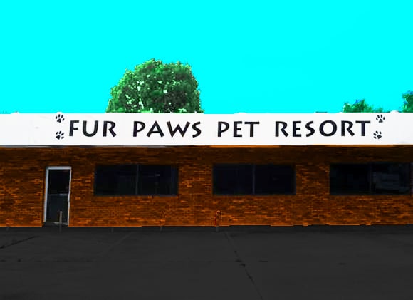 Fur Paws Pet Resort - pet boarding facility in Maryville, TN