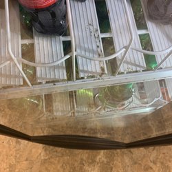 Dollar Tree - Mold in the refrigerator