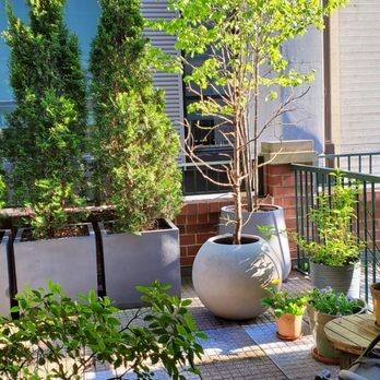 Sprout Home - Nurseries & Gardening Near Me - Chicago, Illinois Sprout Home - Nurseries & Gardening Near Me - Chicago, Illinois
