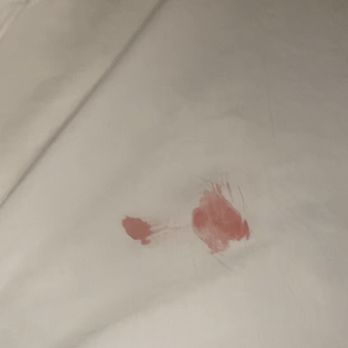 Courtyard by Marriott Reno - Blood soaked through multiple layers of bed sheets. They obviously did not change the sheets or clean the room. Disgusting - Hotels Near Me - Reno, Nevada Courtyard by Marriott Reno - Blood soaked through multiple layers of bed sheets. They obviously did not change the sheets or clean the room. Disgusting - Hotels Near Me - Reno, Nevada