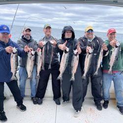 Spring Coho