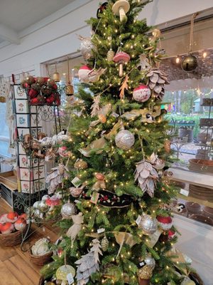 Tallahassee Nurseries by null