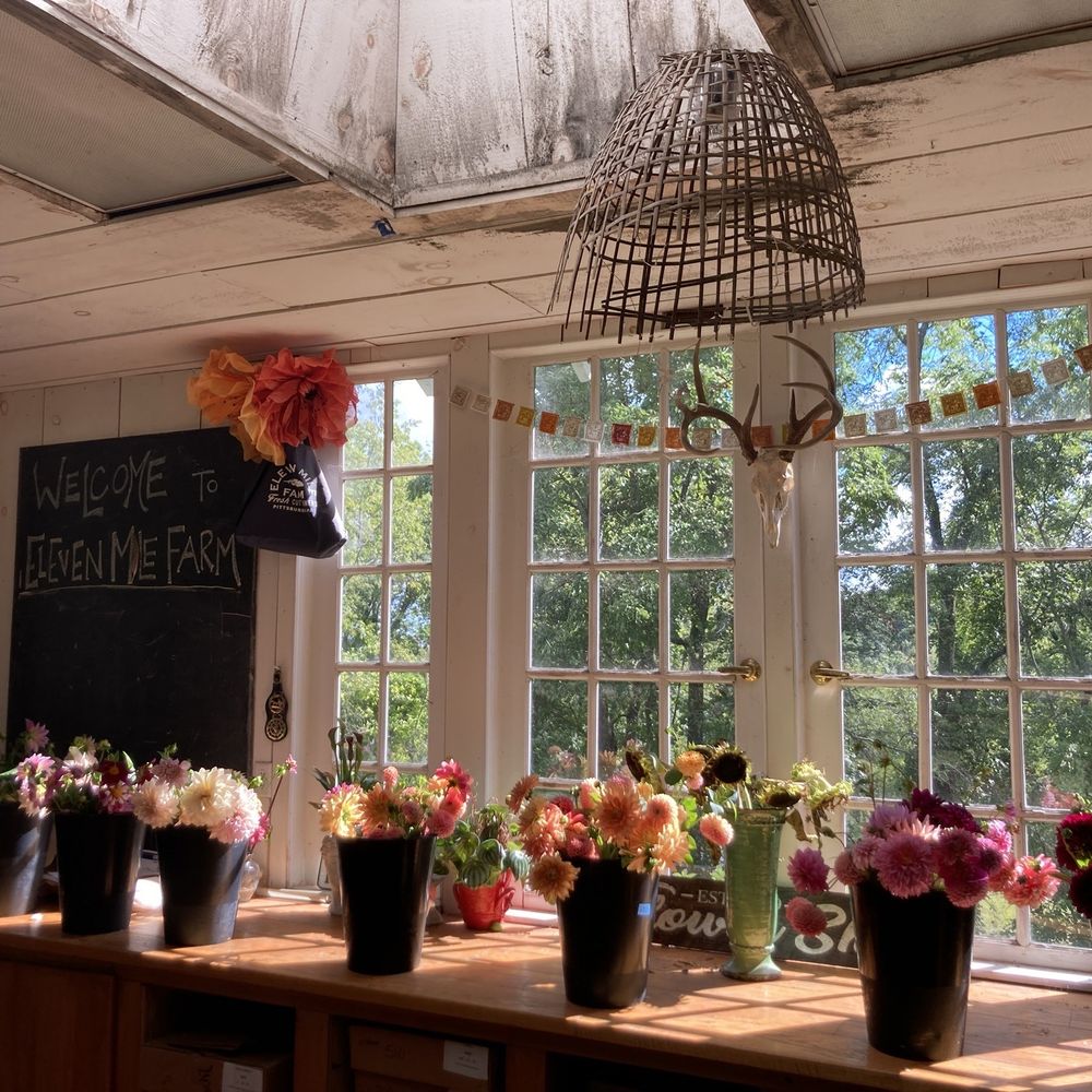 THE BEST 10 FLORISTS in HAMPTON TOWNSHIP, PA - Updated 2026 - Hours - Yelp