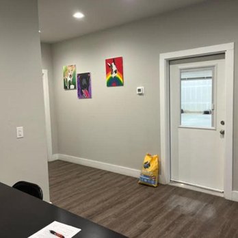 Sit Means Sit Dog Training Frisco - Pet Training Near Me - Celina, Texas Sit Means Sit Dog Training Frisco - Pet Training Near Me - Celina, Texas