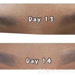 Velvet Vanity Brow Bar - Microshading  Days 13-14