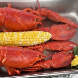 Taste of Maine - Double lobster with corn on the cob. So good!!