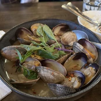 Amazing Basil - Clams with wine sauce - Asian Fusion Near Me - Fremont, California Amazing Basil - Clams with wine sauce - Asian Fusion Near Me - Fremont, California