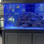 Photo of Aquarium Artisans