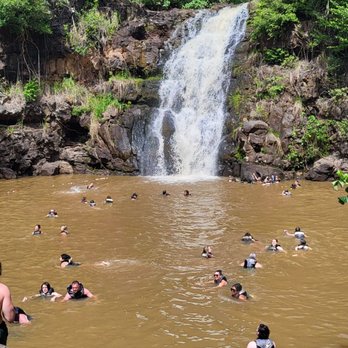 Waimea Valley - Muddy and prolly. Kinda the opposite of a relaxing refreshing waterfall you would imagine - Venues & Event Spaces Near Me - Haleiwa, Hawaii Waimea Valley - Muddy and prolly. Kinda the opposite of a relaxing refreshing waterfall you would imagine - Venues & Event Spaces Near Me - Haleiwa, Hawaii